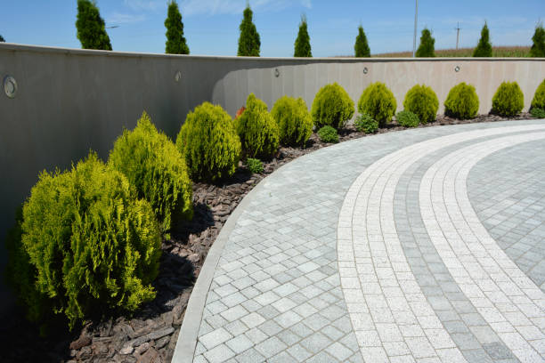 Reasons to Select Us for Your Driveway Paving Requirements in Pine Canyon, CA